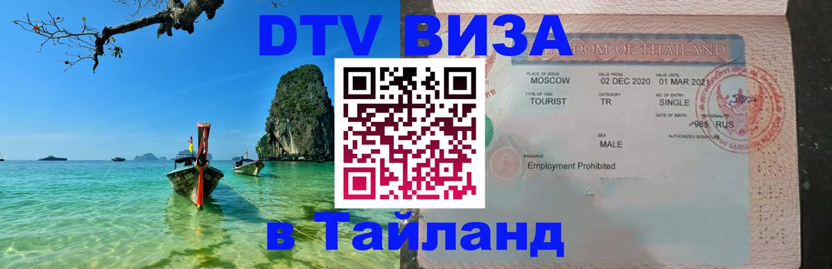 Оформление DTV визы под ключ: стоимость и тарифы, только загранпаспорт - Санкт-Петербург  07.01.2026 